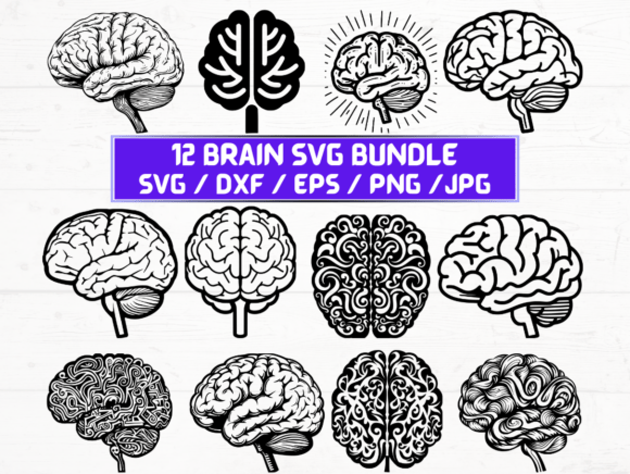 Brain SVG File: Graphics for Crafts & Local Branding