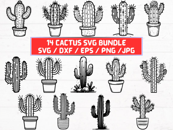 Cactus SVG Bundles: A Graphic Asset for Crafts