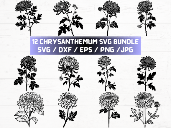 Chrysanthemum Flower Graphics for Crafts