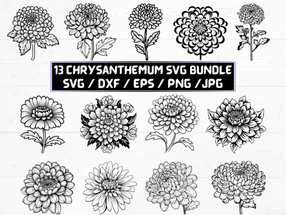 Chrysanthemum Flower SVG: A Graphic for Crafts and Branding