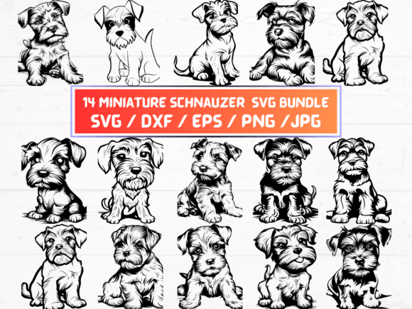 Miniature Schnauzer Svg Bundle for Graphics and Crafts