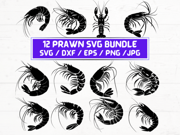 Prawn SVG Bundle Graphics for Crafts