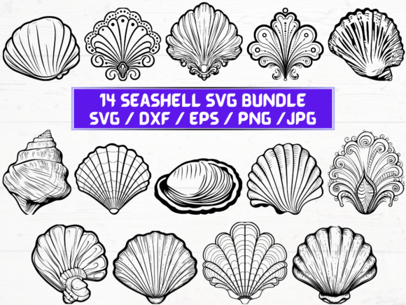 Seashell Laser Cut: Graphics for Crafts & Local Branding